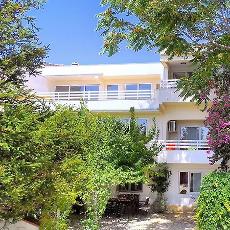 Orange Bamboo * 스플리트