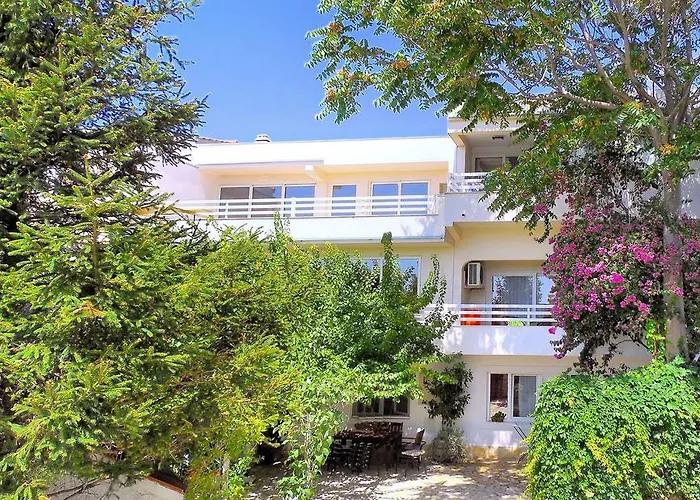 Orange Bamboo * 스플리트