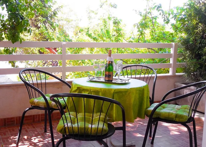 Orange Bamboo * 스플리트